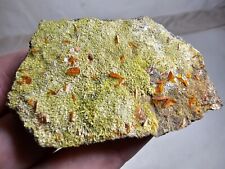 Bright Red Wulfenite with drusy Pyromorphite on matrix from China 6.3cm picture