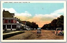 Vtg Palmyra Pennsylvania PA Cherry Street Dirt Road 1920s View WB Old Postcard picture
