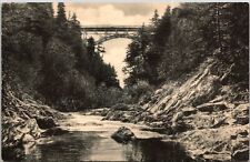 Dewey's at the Quechee Gorge VT Albertype Postcard B46 picture