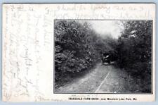 Pre-1906 MOUNTAIN LAKE PARK MD TRUESDALE FARM DRIVE HORSE & BUGGY POSTCARD picture