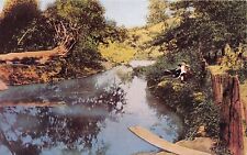 GREENFIELD INDIANA JAMES WHITCOMB RILEY & 2 FRIENDS OLD SWIMMIN HOLE POSTCARD picture