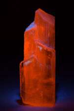 Terminated Spodumene crystal, fluorescent orange. Afghanistan. 152 grams. Video. picture