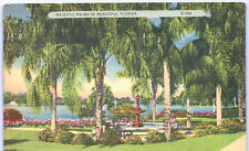 Postcard FL Majestic Palms & Fountain in Beautiful Florida c.1930's O1 picture
