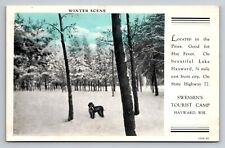 Winter Scene Swensen's Tourist Camp Hayward Wisconsin Antique Unposted Postcard picture