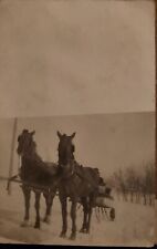 Horses Sled Snow Garvin Minnesota 1913 picture