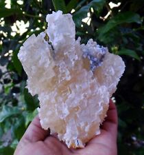 CALCITE On CHALCEDONY Coral FORMATION Minerals J-6.24 picture