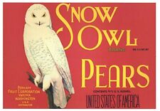 SNOW OWL Vintage Perham Pear Crate Label Bird red, ***AN ORIGINAL LABEL*** picture