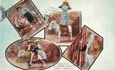Colorado 1914 Donkey Humor multi View Postcard 22-6810 picture