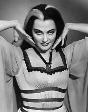 The Munsters 1964 Tv series Lily Munster poses for format portrait 24x30 poster picture