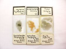 3 Antique/Vintage  Microscope  Slides. Petrology  by Gregory and Bottley. picture