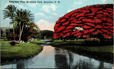 Vtg 1910s Poinciana Tree Moanalua Park Hawaii HI TH Island Curio Co Postcard picture