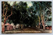 Postcard CA Santa Catalina Island Avalon Canvas City Claressa Avenue c1908 AT4 picture