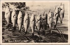 c1930s DETROIT LAKES, Minnesota RPPC Real Photo Postcard 