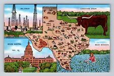 Texas State Map, Longhorn Steer, Blue Bonnets, State Capitol, Vintage Postcard picture
