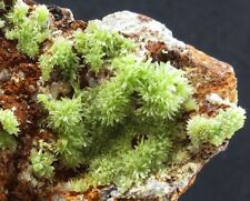 245g flowery Pyromorphite crystal,mineral specimen,Daoping,Guangxi,China picture