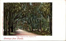 c1908 Postcard Florida Daytona Beach Ridgewood Avenue South from Magniola FL a3 picture