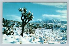 Desert Snow View, Scenic Nature Plants And Flowers, Vintage Postcard picture
