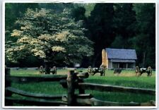 Postcard - Manse George Cabin, Shiloh National Military Park - Shiloh, Tennessee picture