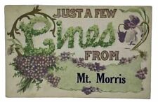 Antique Vtg Just a Few Lines from Mt Morris Postcard Embossed 1912 picture