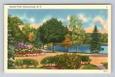 Schenectady NY-New York, Scenic View Central Park, Antique Vintage Postcard picture