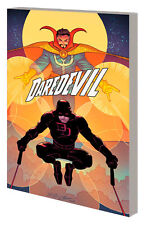 DAREDEVIL BY SALADIN AHMED VOL. 2: HELL TO PAY picture