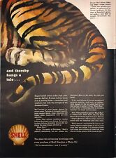 Vintage 1942 WWII Shell Tiger Tale Oil is Ammunition... Print Ad Advertisement picture