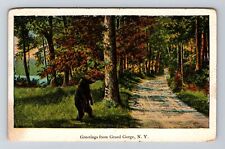 Grand Gorge NY-New York, General Greetings, Bear, Antique Vintage Postcard picture