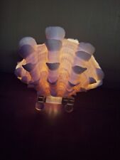 Whole Fluted Clam Shell Tridacna Squamosa Lamp Nautical Table Night Light picture