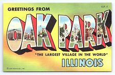 Postcard Greetings From Oak Park Illinois Large Letter Curt Teich picture