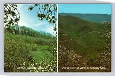 Little Switzerland NC-North Carolina, Apple Mountain, Antique Vintage Postcard picture