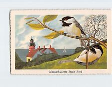 Postcard Chickadee Massachusetts State Bird Massachusetts USA picture
