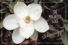 Vtg 1990s Postcard 6x4 Mississippi The Magnolia State Trees White Flowers L10 picture