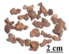 RARE Meteorite Sericho, pallasite, Kenya, lot of nice natural skeletons 25 gr#3 picture