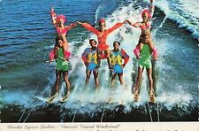 Postcard Florida's Cypress Gardens, Water Ski Acts Vintage picture