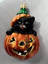 Vintage 1999 Christopher Radko Puss 'n Boo Glass Ornament picture