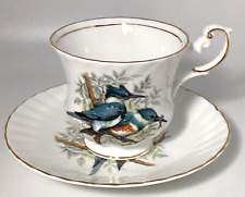 Queen's Fine Bone China Rosina Bird's of America Kingfisher Tea Cup & Saucer picture