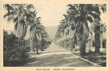 Postcard 1920s Azusa California Palm Drive Albertype 24-6218 picture
