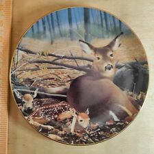 Deer Plate Danbury Mint Fresh Start Pride Of The Wilderness Bob Travers Limited picture