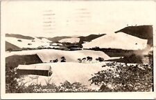 RPPC View Tobacco Plantation, Puerto Rico c1922 Vintage Postcard T63 picture
