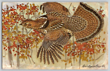 Artist Postcard~ Louis Agassiz Fuertes~ Painting~ Ruffed Grouse picture