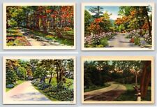 Lof of 4 North Carolina Country Road Postcards picture