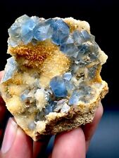 Rare Blue CELESTINE Crystals Bunch With Calcite Matrix @ mineral Specimens picture