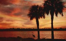 Postcard FL Florida Beautiful Florida Sunset Posted 1957 Chrome Vintage PC a334 picture