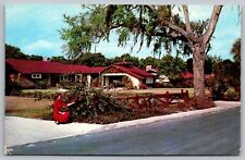 Beautiful Homes Orlando Florida FL Lady Flower Bush Postcard UNP VTG Unused picture