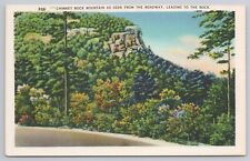 Vintage Postcard Chimney Rock Mountain as Seen From the Roadway Ashville NC picture