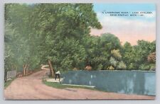 Lakeshore Road Lake Oakland Pontiac Michigan Linen Postcard No 4876 picture