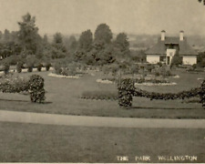 Vintage Real Photo Postcard RPPC The Park Wellington Building Grounds Garden picture