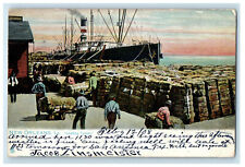 1908 Loading Cotton in Steamer New Orleans LA Oilette Art Tuck Postcard picture
