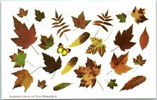 Postcard - Autumn Leaves of New Hampshire picture