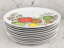 Set of 10 Retro Vintage Melamine Style Tomato Spice Of Life Dinner Plates 9.5